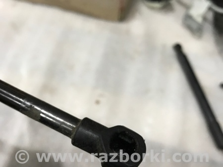 ФОТО Амортизатор капота для Audi (Ауди) A4 V B9 - 8W (2015-) Київ