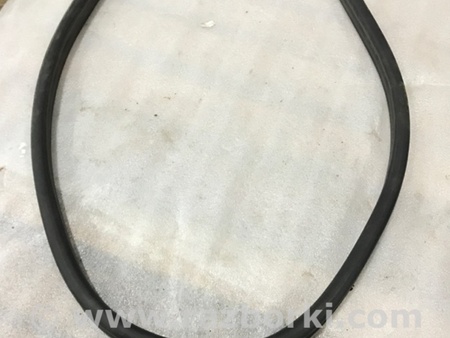 ФОТО Уплотнительная резинка для Audi (Ауди) A4 V B9 - 8W (2015-) Київ
