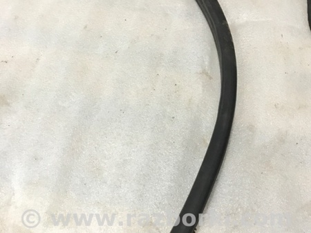 ФОТО Уплотнительная резинка для Audi (Ауди) A4 V B9 - 8W (2015-) Київ