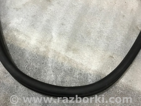 ФОТО Уплотнительная резинка для Audi (Ауди) A4 V B9 - 8W (2015-) Київ