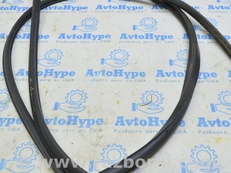 ФОТО Уплотнитель двери зад для Hyundai Elantra AD (09.2015-2020) Одесса