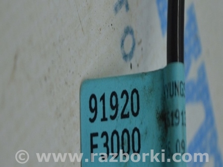 ФОТО Провод датчика ABS для Hyundai Elantra AD (09.2015-2020) Одесса