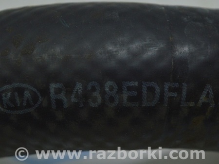 ФОТО Патрубок охлаждения верхний для Hyundai Elantra AD (09.2015-2020) Одесса