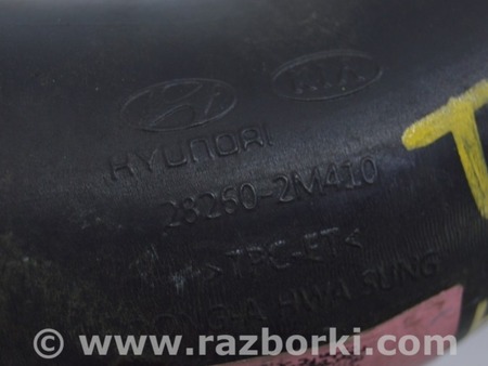 ФОТО Патрубок интеркулера нижний для Hyundai Tucson NX4 (2020-) Одесса