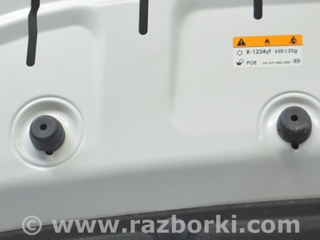 ФОТО Отбойник капота для Hyundai Tucson NX4 (2020-) Одесса