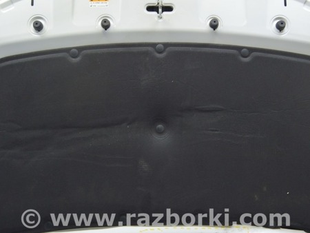 ФОТО Отбойник капота для Hyundai Tucson NX4 (2020-) Одесса