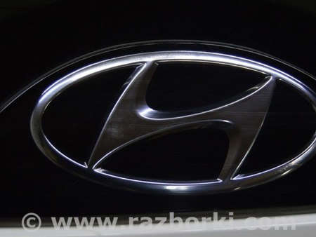 ФОТО Стекло заднее для Hyundai Tucson NX4 (2020-) Одесса