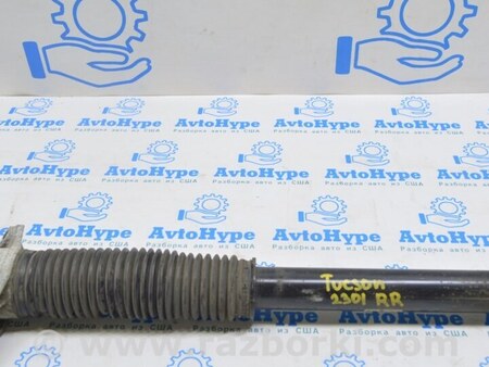 ФОТО Амортизатор зад прав для Hyundai Tucson NX4 (2020-) Одесса