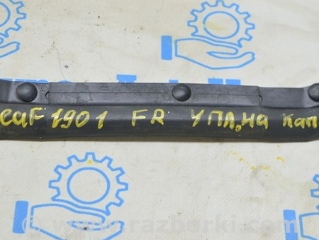 ФОТО Уплотнитель капота правый для Nissan LEAF (2018-) Одесса