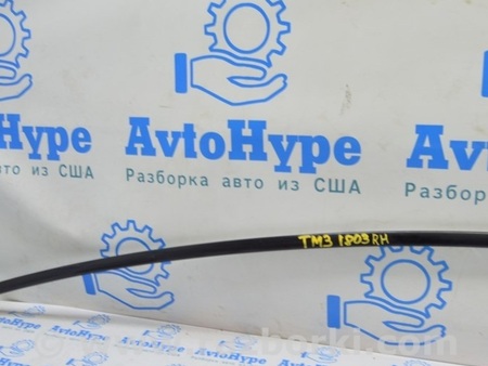 ФОТО Накладка крыши правая для Tesla Model 3 Одесса