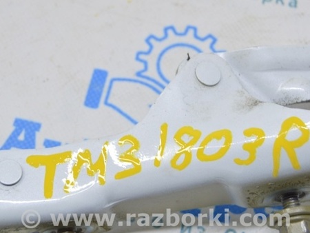 ФОТО Петля крышки багажника правая для Tesla Model 3 Одесса