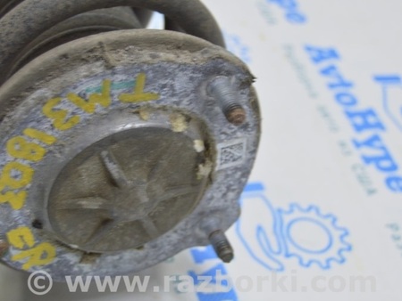 ФОТО Стойка амортизатора передняя для Tesla Model 3 Одесса