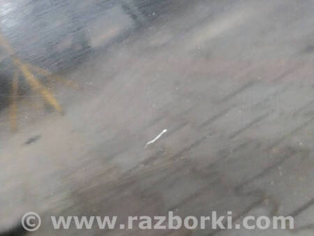 ФОТО Двері задні ліві для Mitsubishi L200 (06-14) Коломия