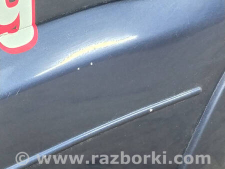 ФОТО Задні ліві двері для Mitsubishi Pajero Wagon 4 Коломия