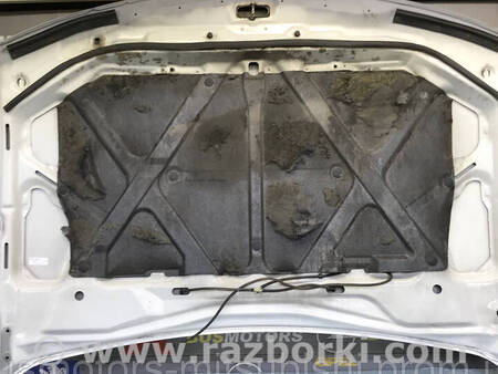 ФОТО Капот для Mitsubishi L200 (06-14) Коломия