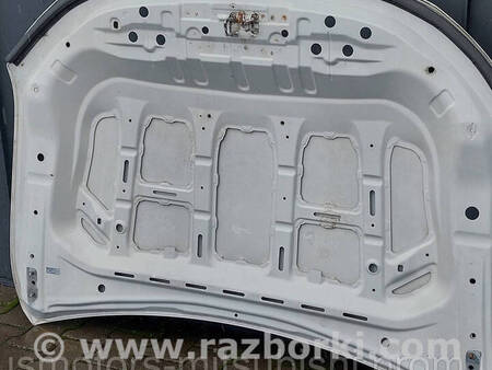 ФОТО Капот для Mitsubishi L200 (06-14) Коломия