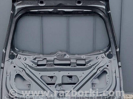 ФОТО Двері задні ляда Спорт для Mitsubishi Pajero Sport II Коломия