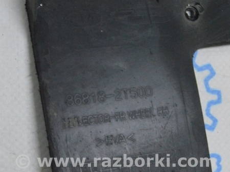 ФОТО Брызговик подкрылка перед для KIA Optima TF Одеса