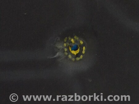 ФОТО Изоляция капота для KIA Optima TF Одеса