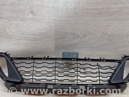 ФОТО Решетка радиатора бампера переднего центральная нижняя для BMW 2-Series (все года выпуска) Киев