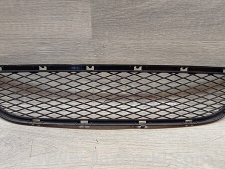 ФОТО Решітка накладка переднього бампера центральна для BMW 3-Series (все года выпуска) Киев