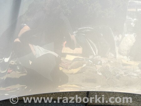 ФОТО Капот Решітка для Audi (Ауди) A4 B9 - 8W2, 8W5 (06.2015-...) Киев