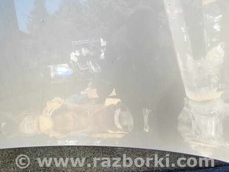 ФОТО Капот Решітка для Audi (Ауди) A4 B9 - 8W2, 8W5 (06.2015-...) Киев