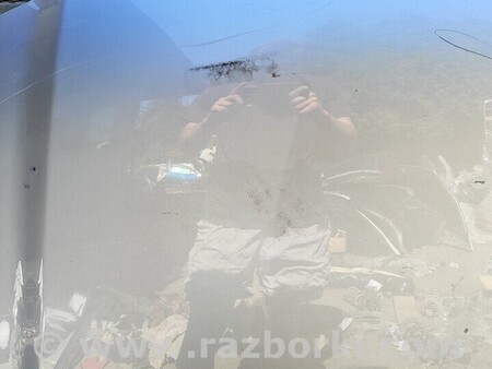 ФОТО Капот Решітка для Audi (Ауди) A4 B9 - 8W2, 8W5 (06.2015-...) Киев