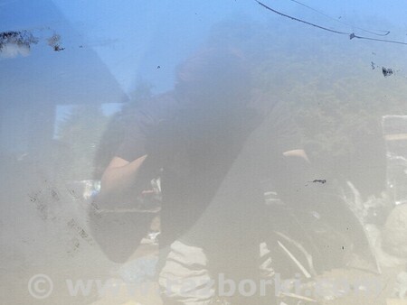 ФОТО Капот Решітка для Audi (Ауди) A4 B9 - 8W2, 8W5 (06.2015-...) Киев