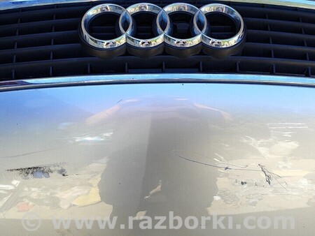 ФОТО Капот Решітка для Audi (Ауди) A4 B9 - 8W2, 8W5 (06.2015-...) Киев