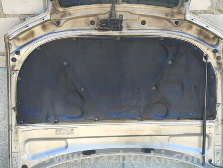 ФОТО Капот Решітка для Audi (Ауди) A4 B9 - 8W2, 8W5 (06.2015-...) Киев