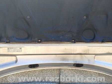 ФОТО Капот Решітка для Audi (Ауди) A4 B9 - 8W2, 8W5 (06.2015-...) Киев