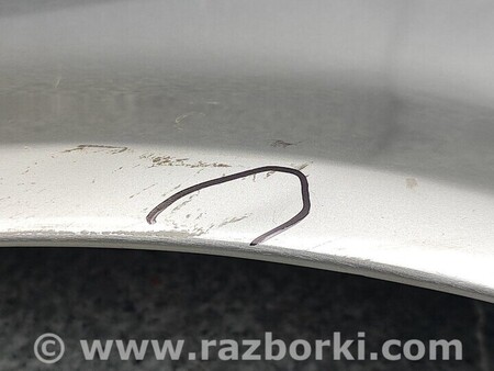 ФОТО Крило Передне Праве для Audi (Ауди) A4 B9 - 8W2, 8W5 (06.2015-...) Киев