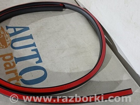 ФОТО Ущільнювач гумка дверцята для Audi (Ауди) A5 8T (03.2007-11.2016) Киев