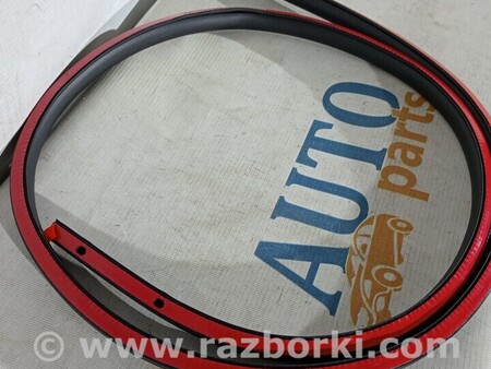 ФОТО Ущільнювач гумка дверцята для Audi (Ауди) A5 8T (03.2007-11.2016) Киев