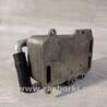 ФОТО Радиатор масляный для Audi (Ауди) A6 C6 (02.2004-12.2010) Киев