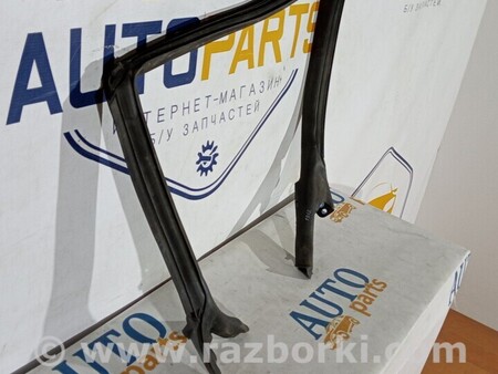 ФОТО С7 Ущільнювач гумка двері задньої правої верх для Audi (Ауди) A7 4G (07.2010-05.2018) Киев