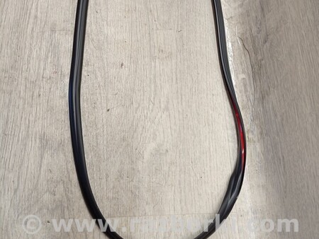 ФОТО Ущільнювач молдинг лобового скла для Honda Accord (все модели) Киев