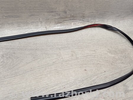 ФОТО Ущільнювач молдинг лобового скла для Honda Accord (все модели) Киев