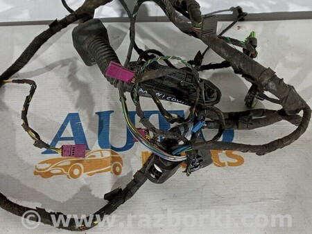 ФОТО Проведення дверей передньої лівої для MINI Countryman F60 (11.2016-...) Киев