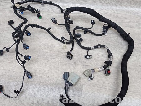 ФОТО Проводка двигуна для Ford Focus 2 (08.2004 - 07.2010) Киев