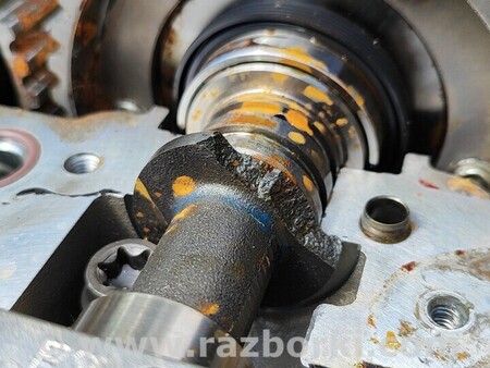 ФОТО Головка блока цилиндров для Ford Ka Киев