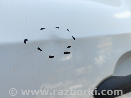 ФОТО Дверь передняя левая для Renault Kangoo Киев