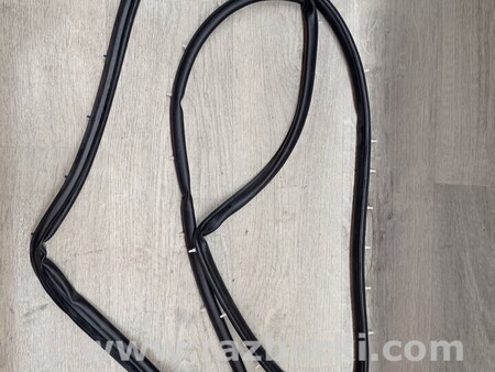 ФОТО Ущільнювач резинка двері дверки передній лівий для Hyundai Matrix Киев