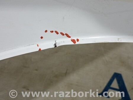 ФОТО Крыло переднее правое для Dacia Sandero Киев