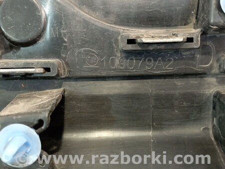 ФОТО Молдинг двери передний правий для Renault Scenic Киев