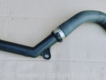 ФОТО Патрубок интеркулера для Renault Scenic Киев