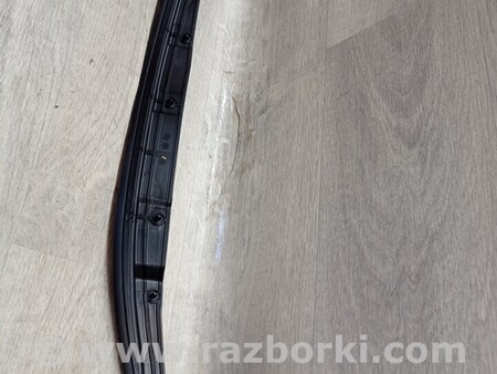 ФОТО Уплотнитель резинка двери крила передней правой для Renault Scenic Киев