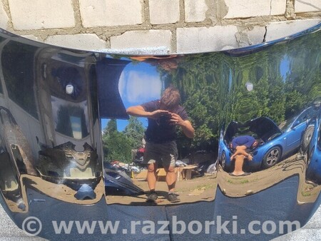 ФОТО Капот цвет для Fiat Tipo Киев