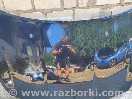 ФОТО Капот цвет для Fiat Tipo Киев